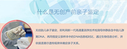 山东孕期亲子鉴定中心哪有,山东孕期亲子鉴定预约 山东孕期亲子鉴定中心哪有,山东孕期亲子鉴定预约